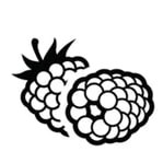 Fruits and vegetables